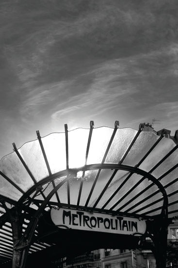 Canopy Travel Black and White (Digital)