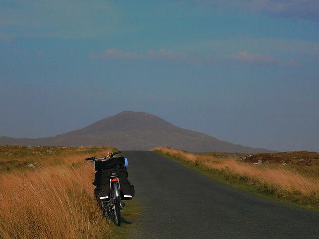 Bike Travel Color (Digital)