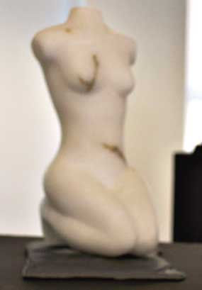 Torso Others Figurative