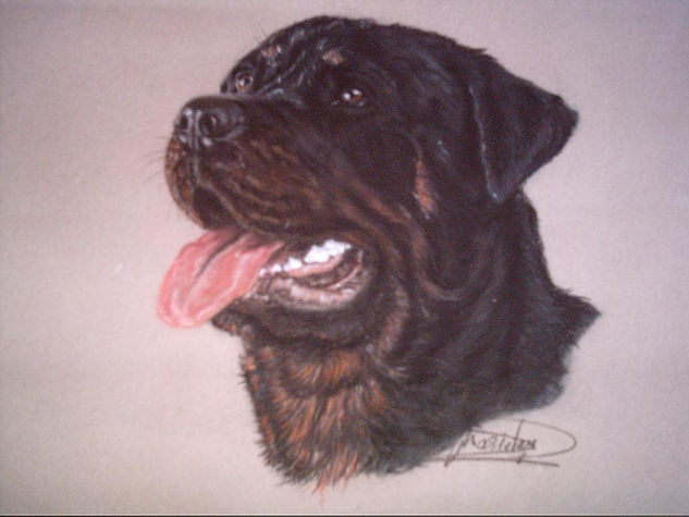 Rottweiler Pastel Papel Animales