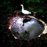 PAISAJES SUIGENERIS Y OTRAS CASUALIDADES. thumbnail 2