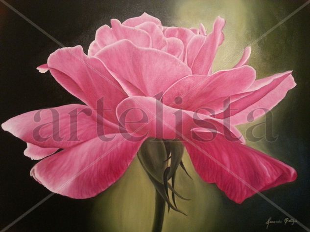 Rosa Danzante Oil Canvas Floral Painting