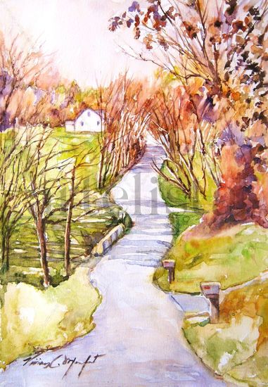 Happy Hollow Road, Bethel, Oho Watercolour Paper Landscaping