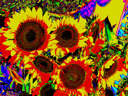 flores naif 6 Conceptual/Abstract Color (Digital)