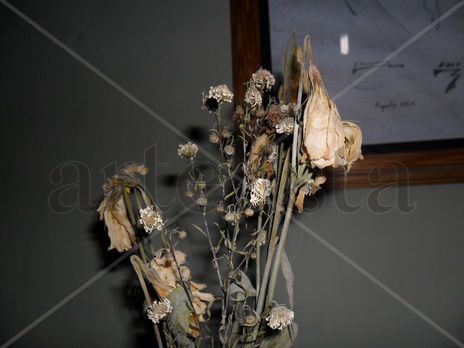 Abandono