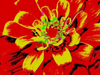 flores naif 14 Conceptual/Abstracto Color (Digital)