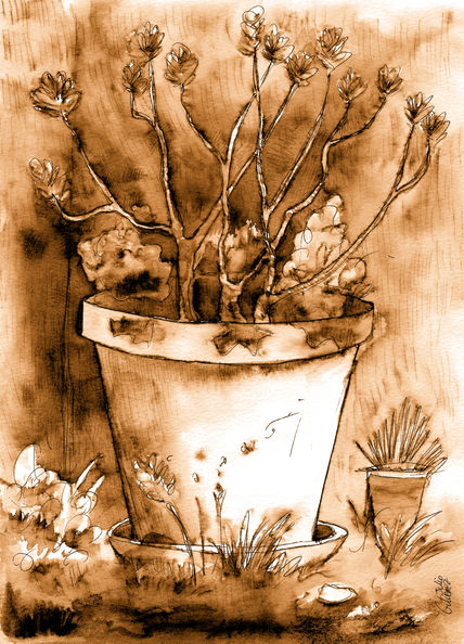 Macetajardin