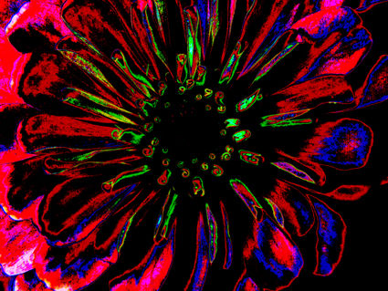 flores naif 16 Conceptual/Abstracto Color (Digital)