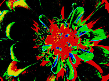 flores naif 17 Conceptual/Abstracto Color (Digital)