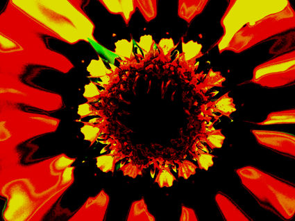 flores naif 19 Conceptual/Abstract Color (Digital)