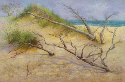 Dunas