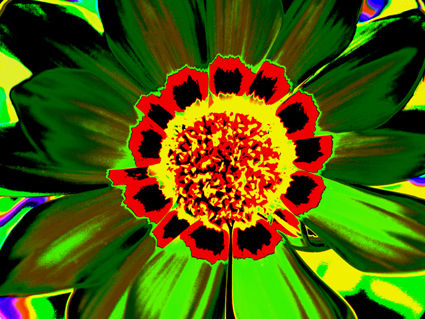 flores naif  20 Conceptual/Abstracto Color (Digital)