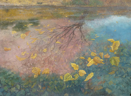 Hojas en el lago