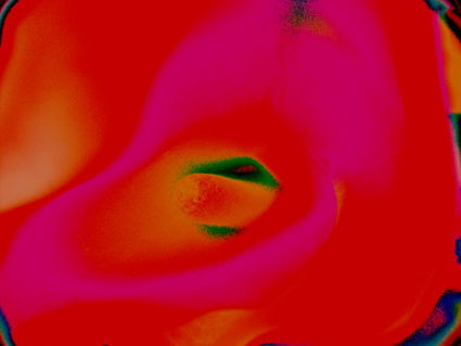 flores naif  23 Conceptual/Abstract Color (Digital)