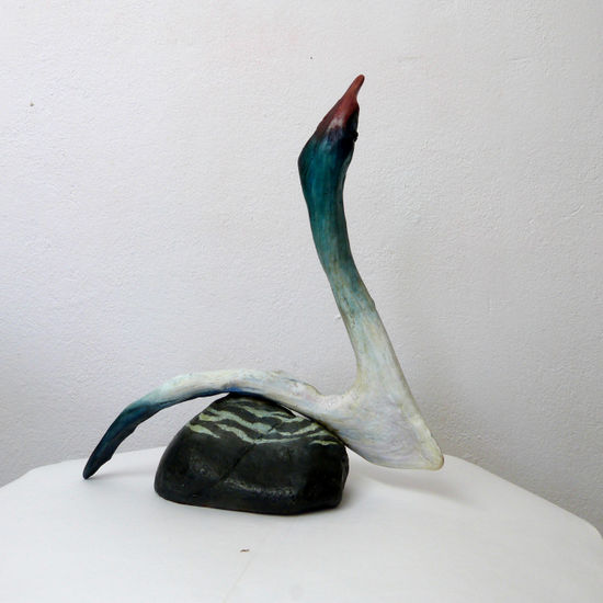 Cisne Mixta Figurativa