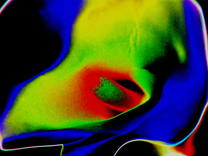 flores naif  24 Conceptual/Abstracto Color (Digital)