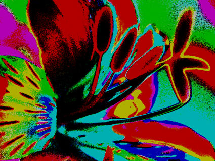 flores naif  26 Conceptual/Abstracto Color (Digital)