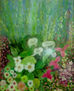 cojunto floral