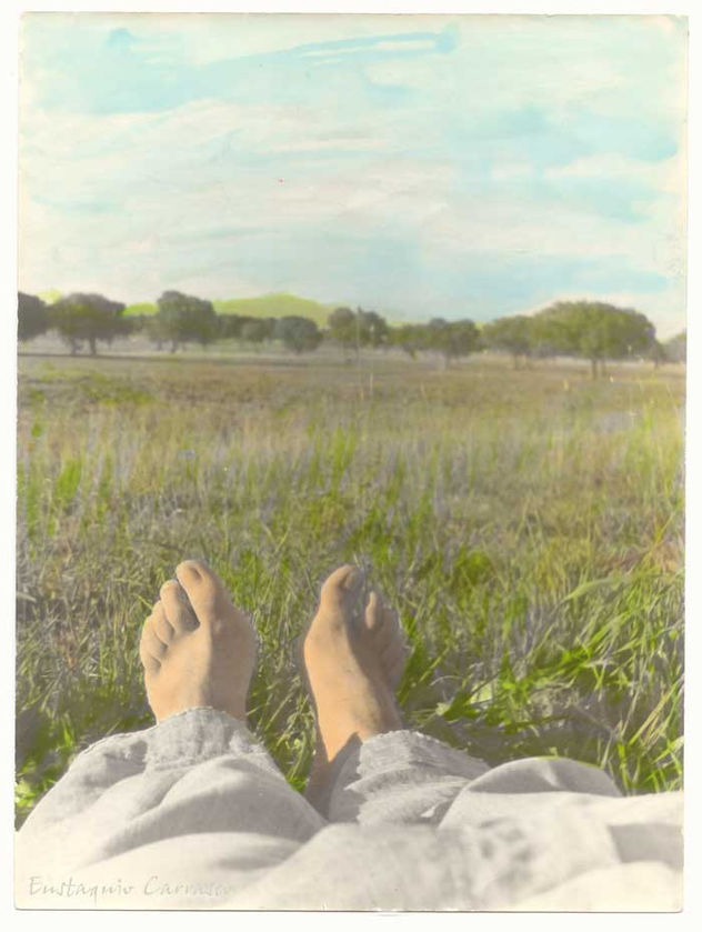 Descansando sobre la hierba