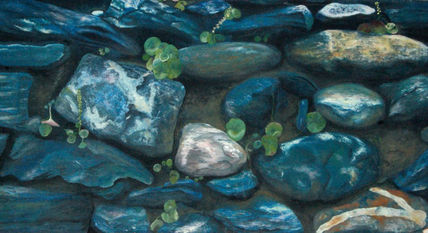 Rocas