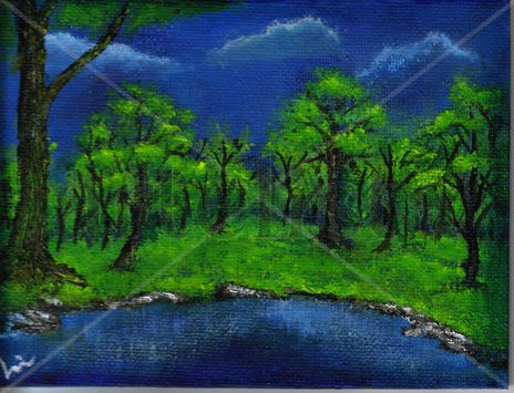 Arboles en la Noche