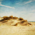 Dunas y Playa thumbnail 1