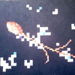Celestia thumbnail 1
