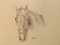 Caballo 1