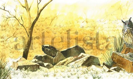 AVES FAUNA IBERICA