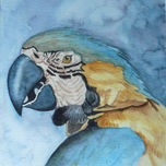 Animales thumbnail 1
