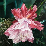 Floral thumbnail 2