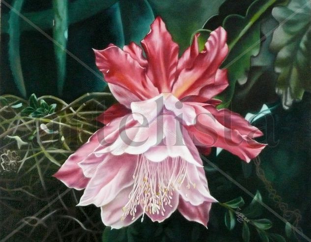 Flor de Cactus   Single Bloom Cactus Oil Canvas Floral Painting