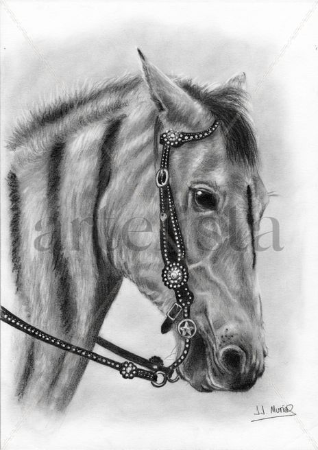 Caballo