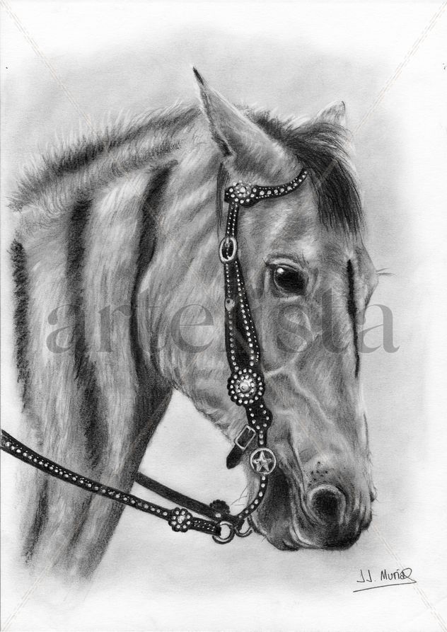 Caballo
