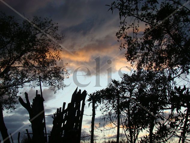 atardecer en el campo Nature Color (Manual)