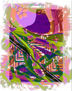 Imagen 251