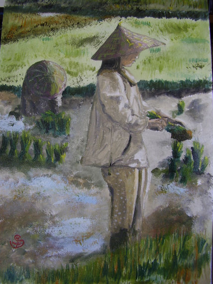 El arrozal