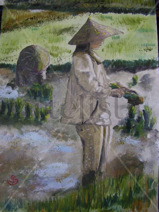 El arrozal