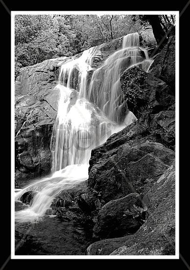 CORTINAS DE AGUA Nature Black and White (Digital)