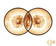 *"...JESSICA PISSCIS´TIT IS BESICA PISCIS...!!!"