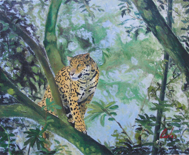 Jaguar Óleo Lienzo Animales