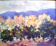 Paisaje 8