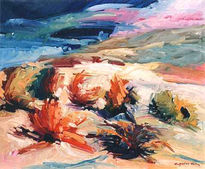 Paisaje9