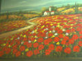 campos rojisos