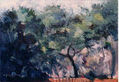 Paisaje 22