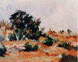 Paisaje 23