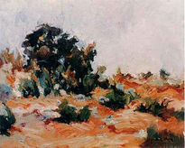 Paisaje 23