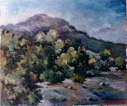 Paisaje 28