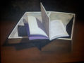 Lectura destapada