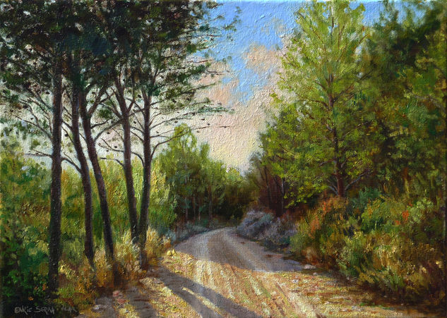 Sol de atardecer / Evening sun. Oil Canvas Landscaping